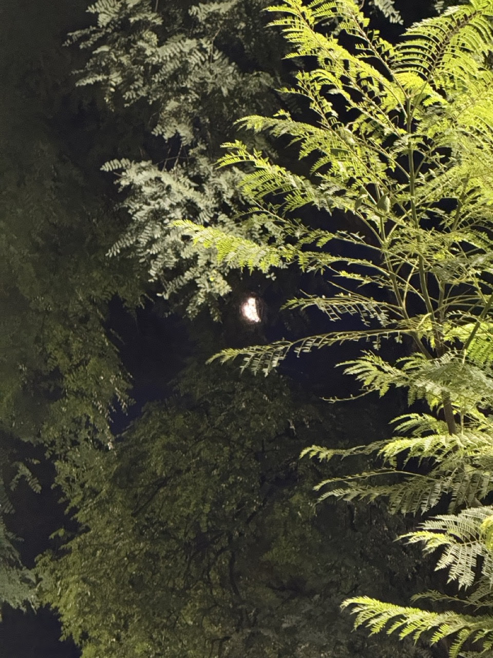 donde esta la luna 01