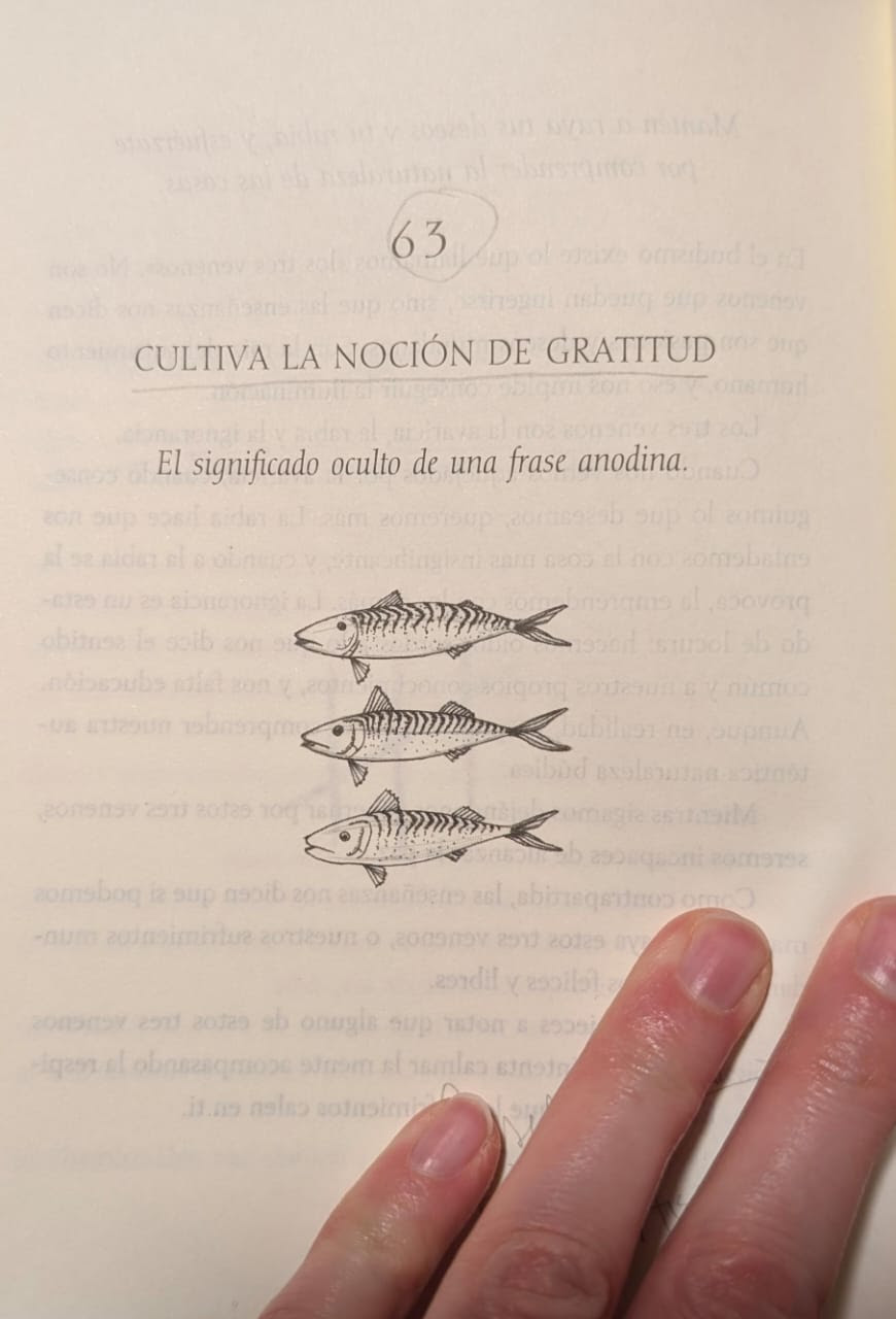 y como me preparo para recibir mis deseos 01
